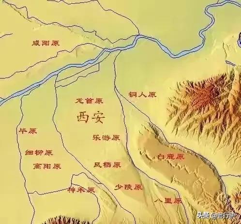 白鹿原白鹿白仙子,白鹿原的白灵和鹿兆海