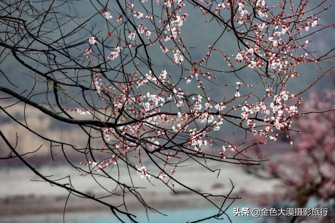 3月份去西藏林芝,3-4月去西藏林芝好玩吗