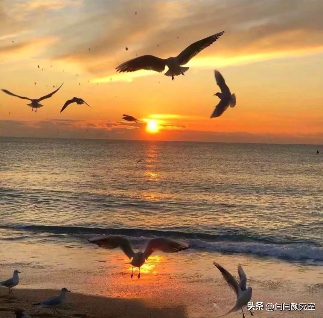 微信置顶文案高级伤感,微信置顶文案短句干净初心