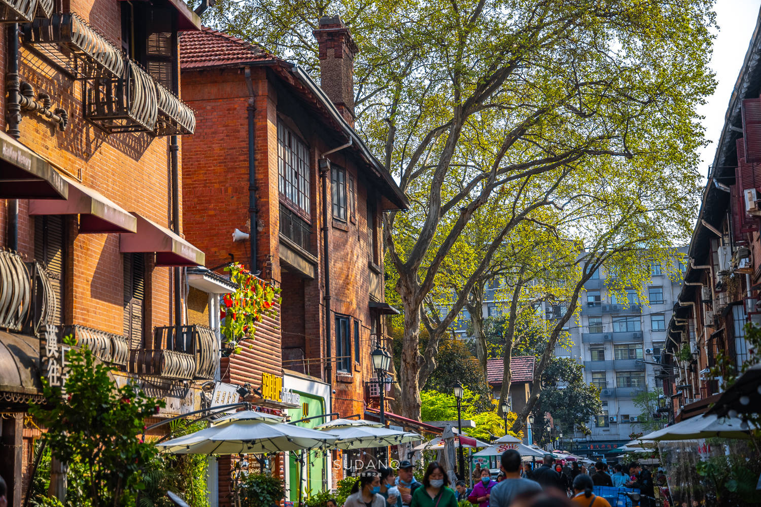 情人节专场，每一个都不想错过！武汉市区有哪些“爱情胜地”呢？