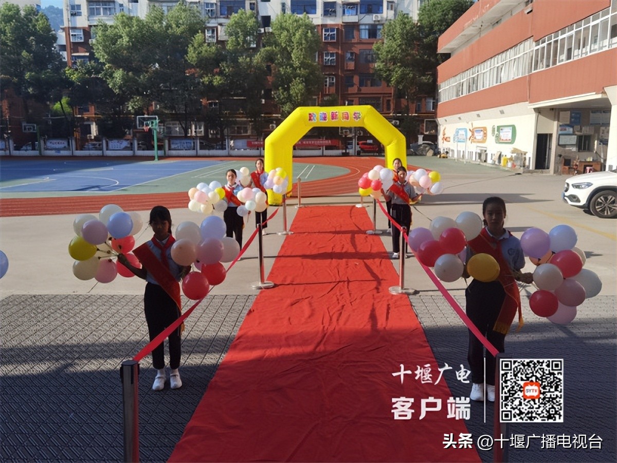 你好萌新是什么意思,你好萌新