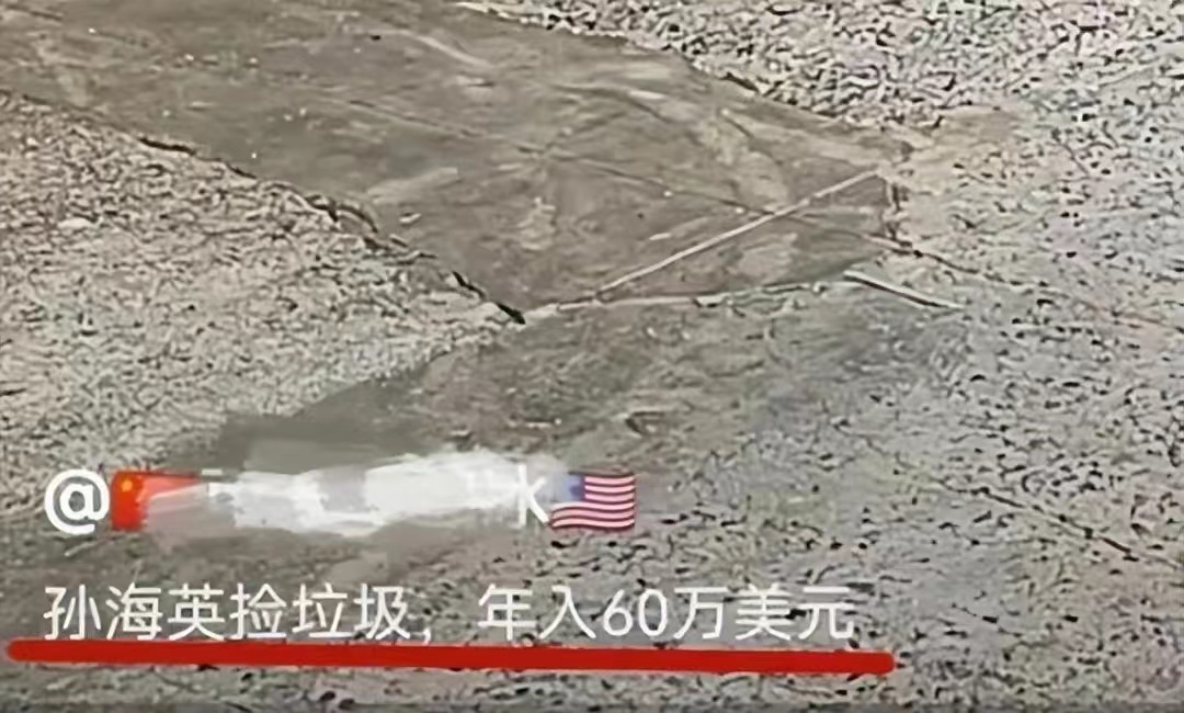 丢脸吗？68岁孙海英64岁吕丽萍，美国捡垃圾年赚400万发誓不回国