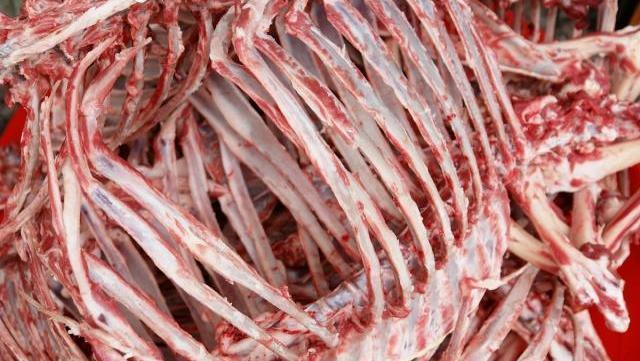 我亲身经历的社会事件作文,社会经历和感悟