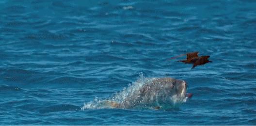 带你真切看人间的宝藏纪录片top10,十一长假适合带孩子看的纪录片