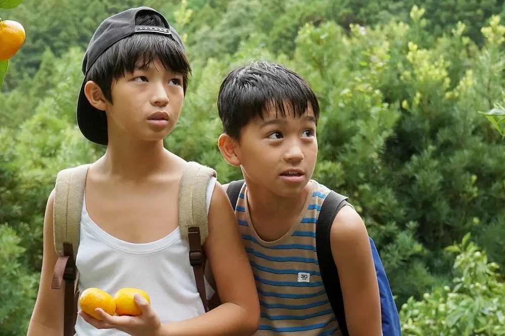 一部值得一看的经典影视作品,盘点几部值得期待的影视作品