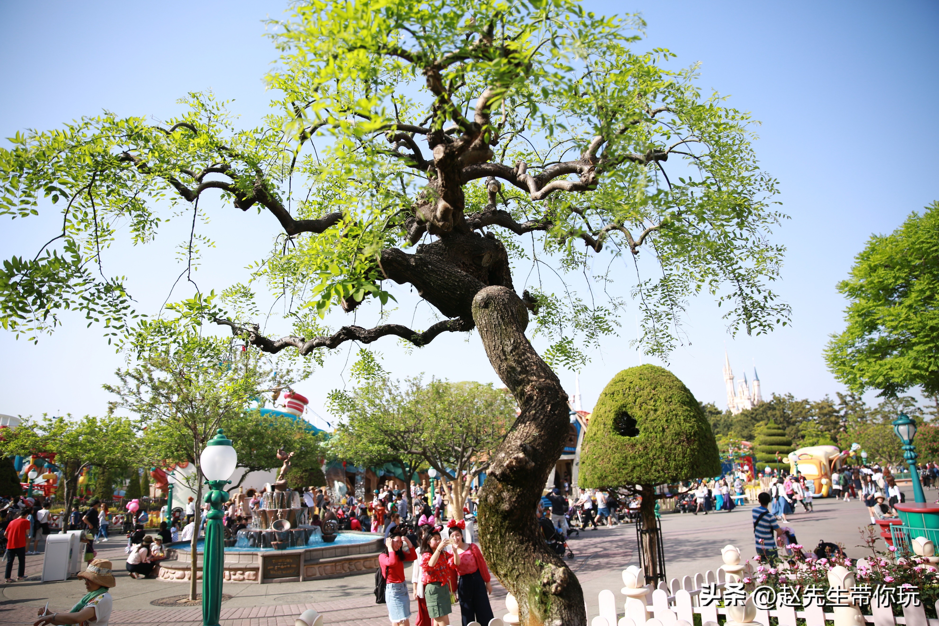 二十年游历分享,20年旅行总结