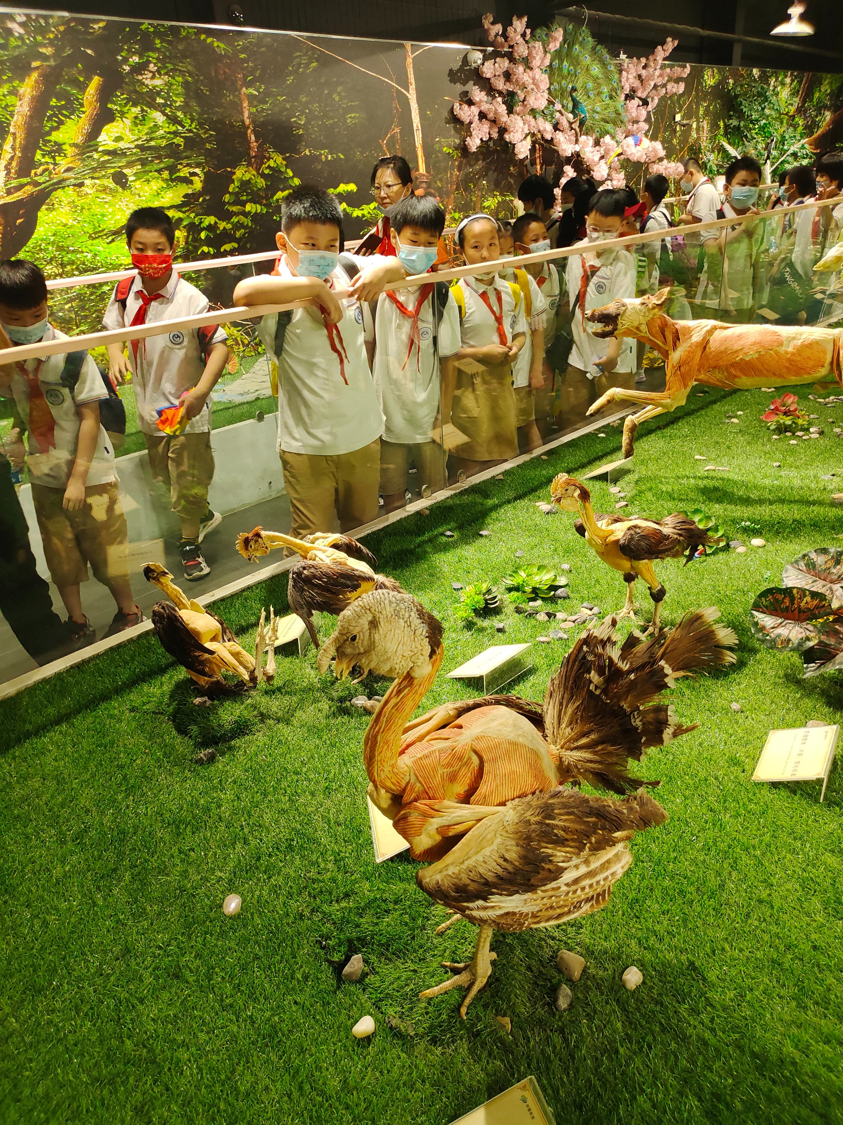 郑州周边游玩冬季推荐免费景点,冬季适合郑州周围的旅游景点