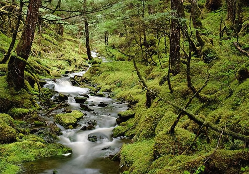 有关夏天的经典诗词,有关夏天的古诗词经典唯美名句