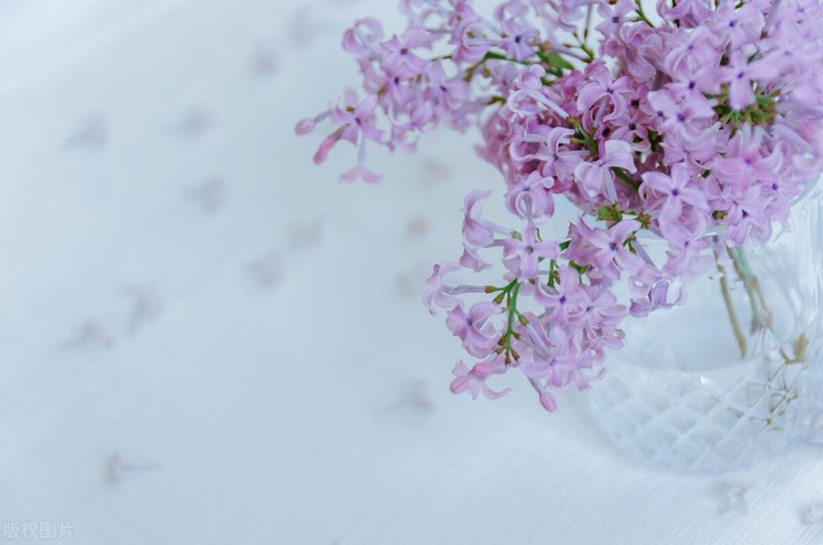 那些孝敬父母的人后来怎么样了,一个人孝顺父母的下场