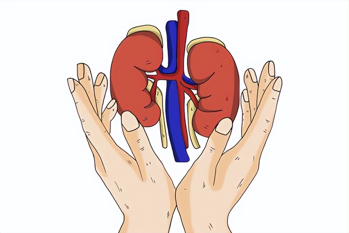 咳嗽打喷嚏漏尿最有效的恢复方法,女人一咳嗽就漏尿是什么原因