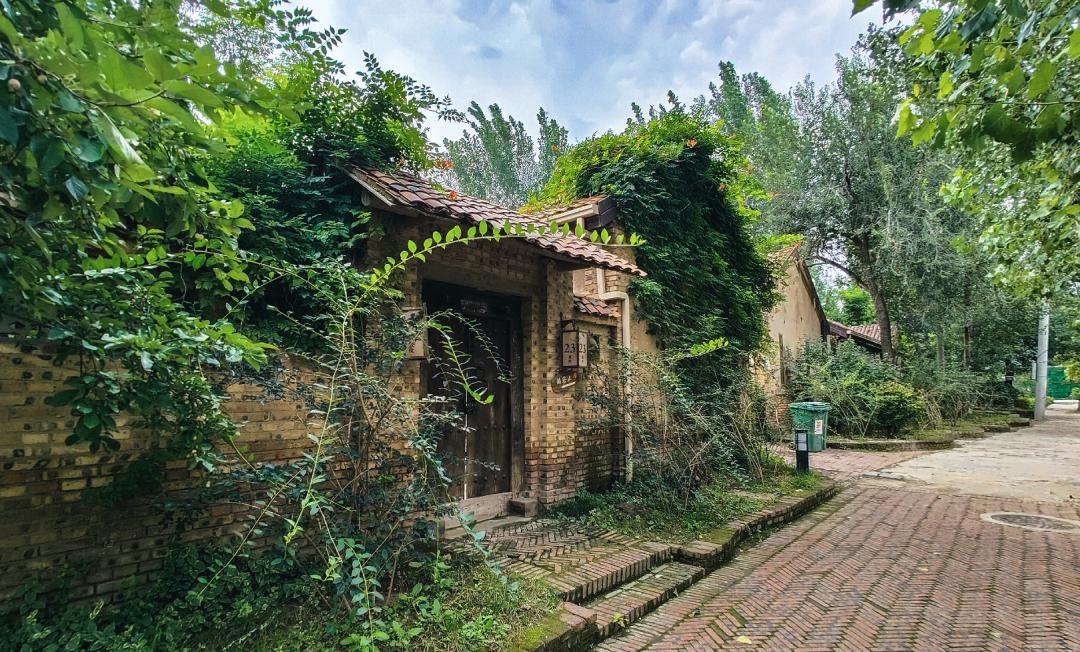 山东人的家乡情结,山东人远方的家乡