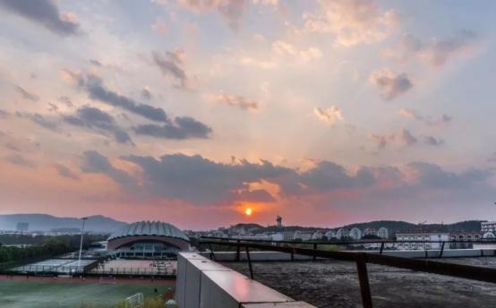 南京财大王牌专业排名,财大南校有啥专业