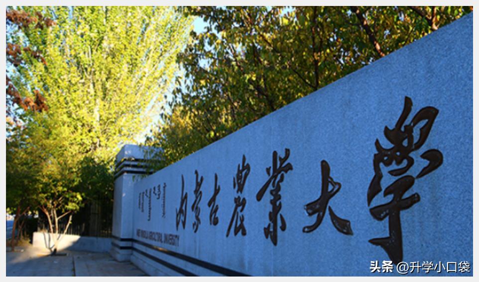 内蒙古农业大学2023保研情况，保研率超过4%，计算机学院保研17人