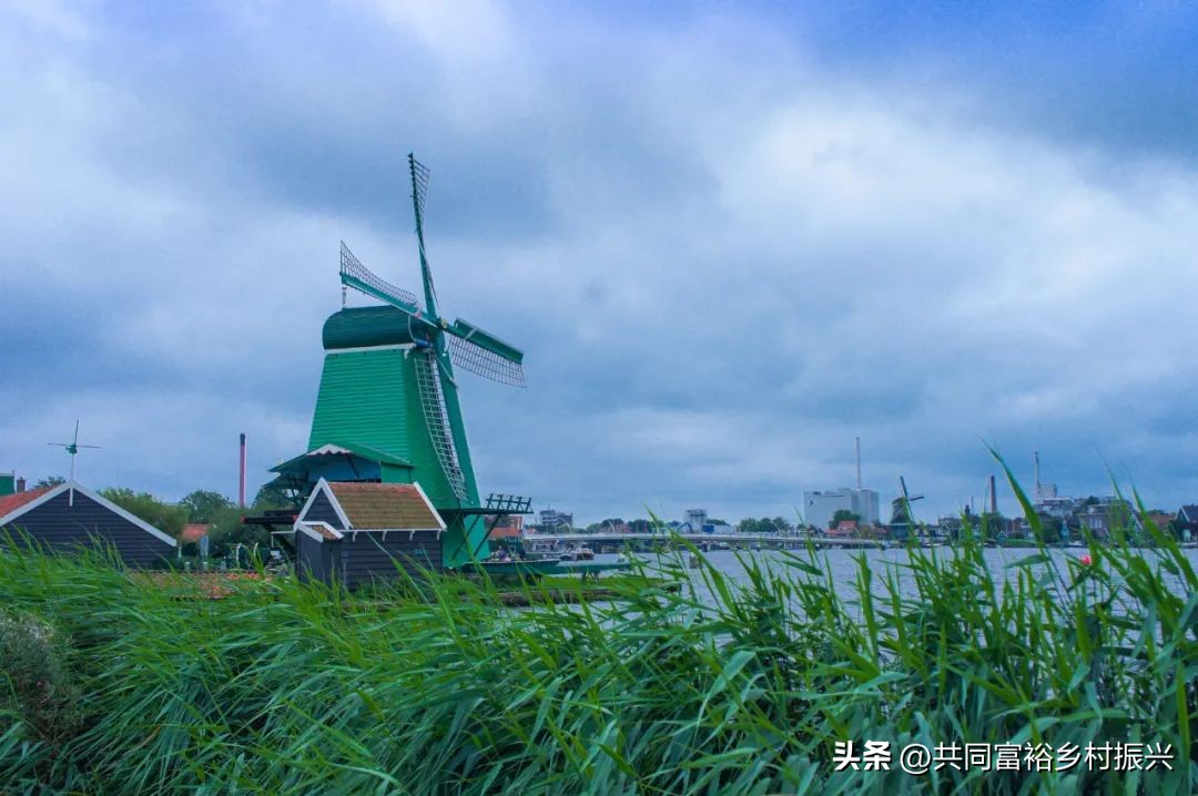 以数字经济助力乡村产业振兴案例,基层党建引领乡村振兴主要案例