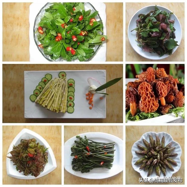 五一康养之旅,康养景区五一