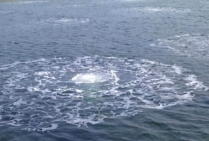 德国被美国打压过吗,德国被美国管控吗