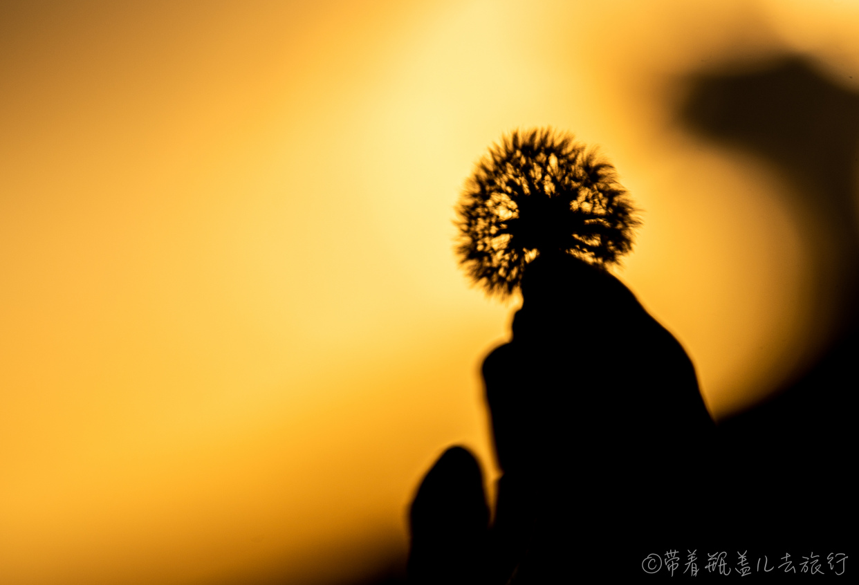 巫溪红叶自驾游,巫溪红池坝云中花海景点讲解