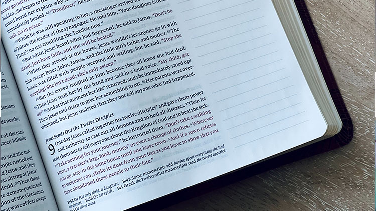 图片中文翻译英文用什么软件免费,图片中文翻译英文用什么软件