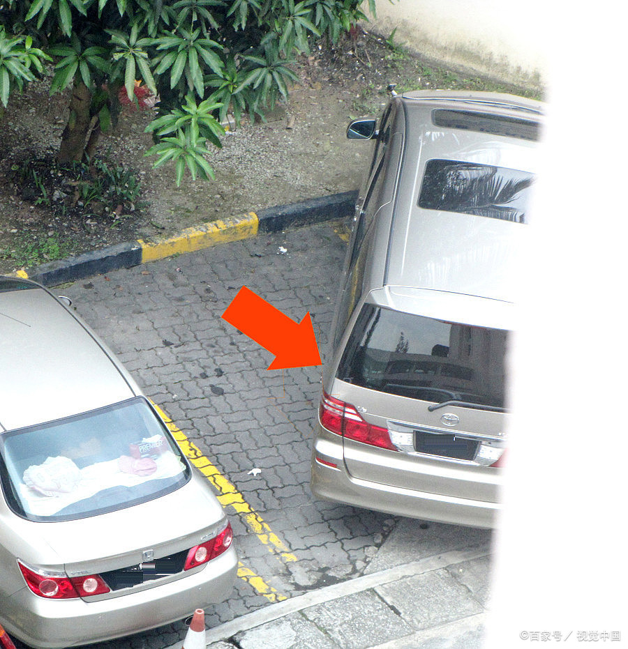 怎么分辨倒车是往左打还是右打,新手倒车什么时候回正方向