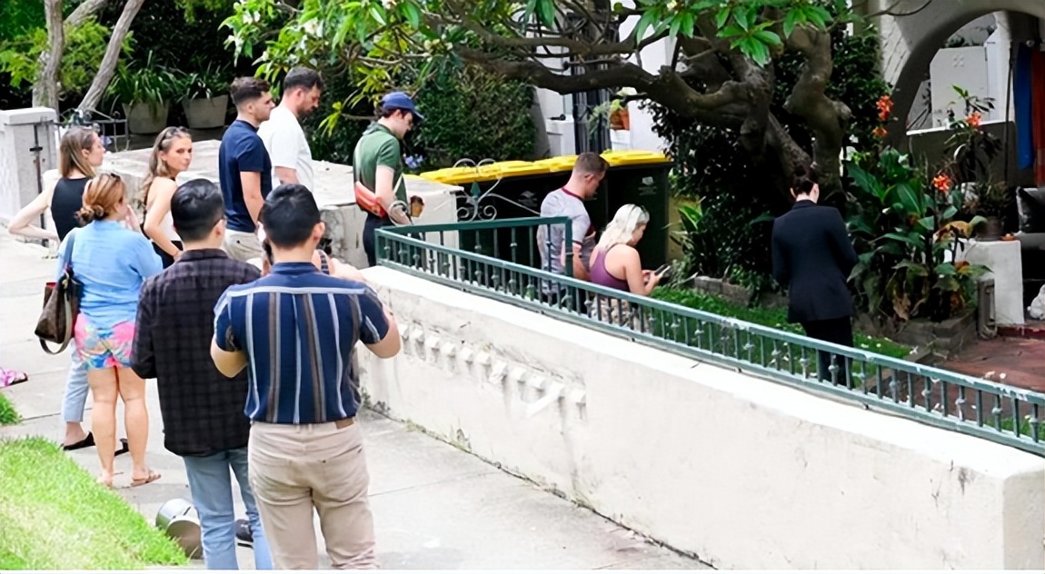 悉尼租客最新视频,悉尼租客