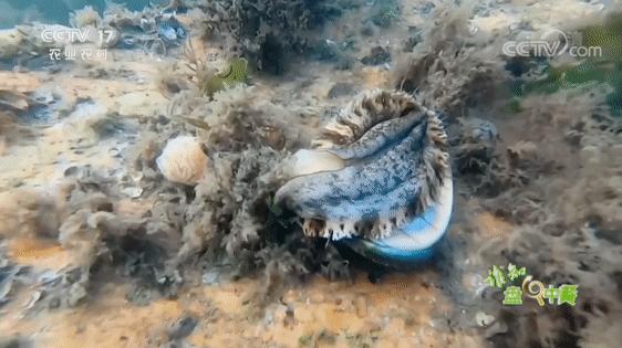 一日三餐都是海鲜,一日三餐全是海鲜