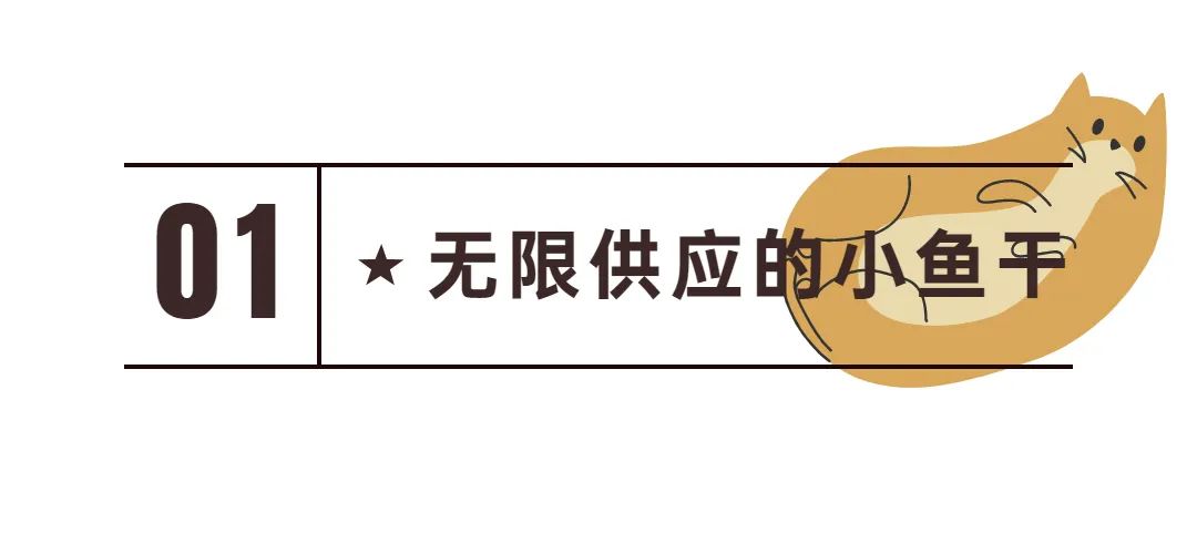 新手常见的害猫行为,看似爱猫实测害猫的五个行为