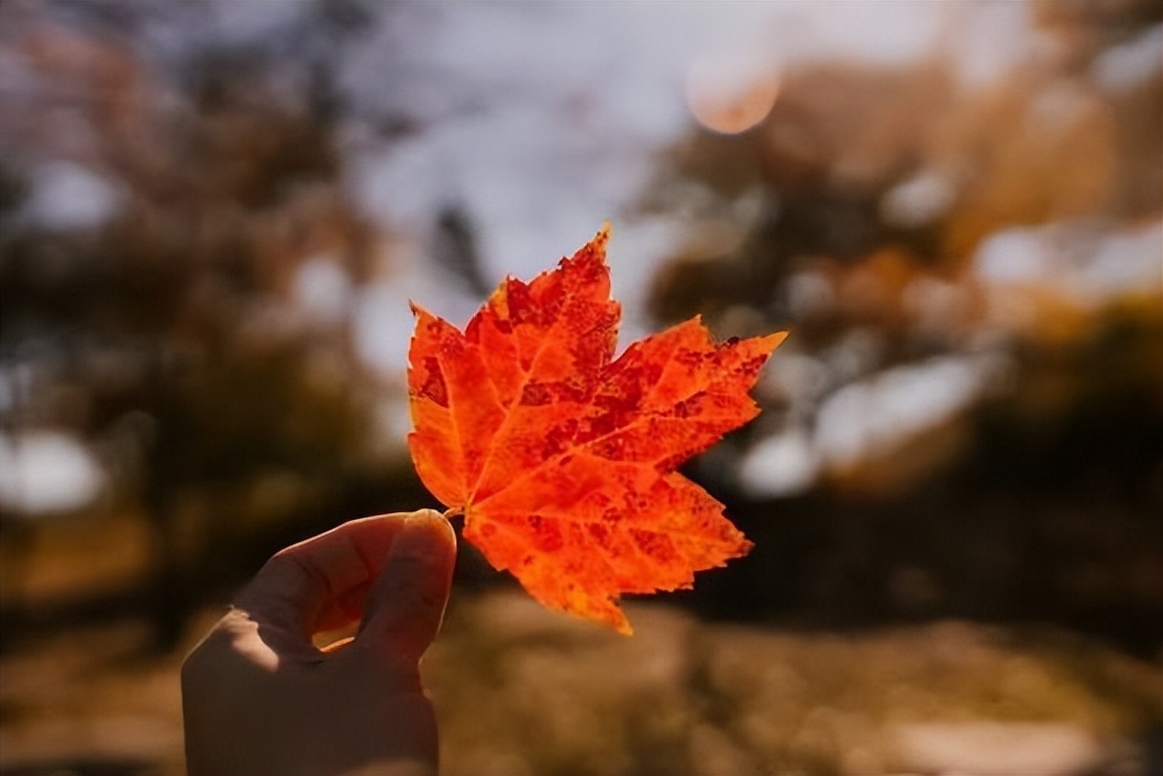 女人爱不爱你断联一次就知道了,男人爱不爱你断联三天就知道了