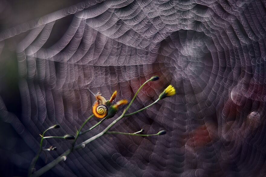 大自然的美景秋天摄影照片,美丽的大自然春夏秋冬图片大全