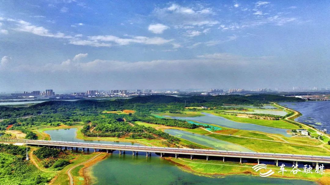 车谷桥梁:城市“大动脉”的浪漫美学