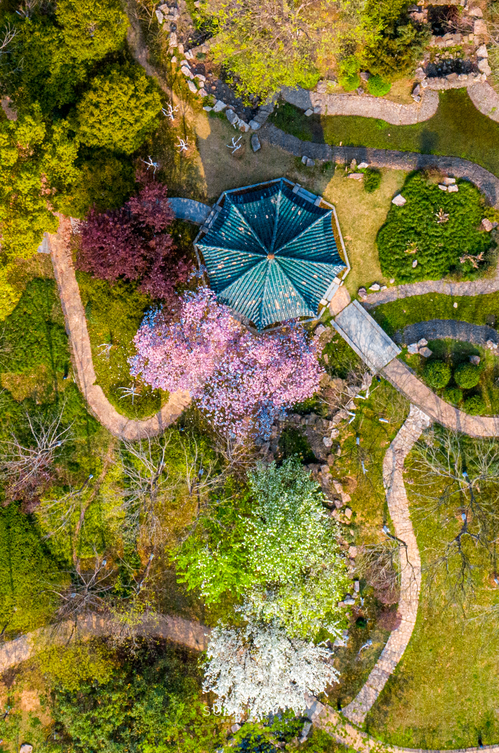 武汉值得一看的园林,武汉最宜居城市排名