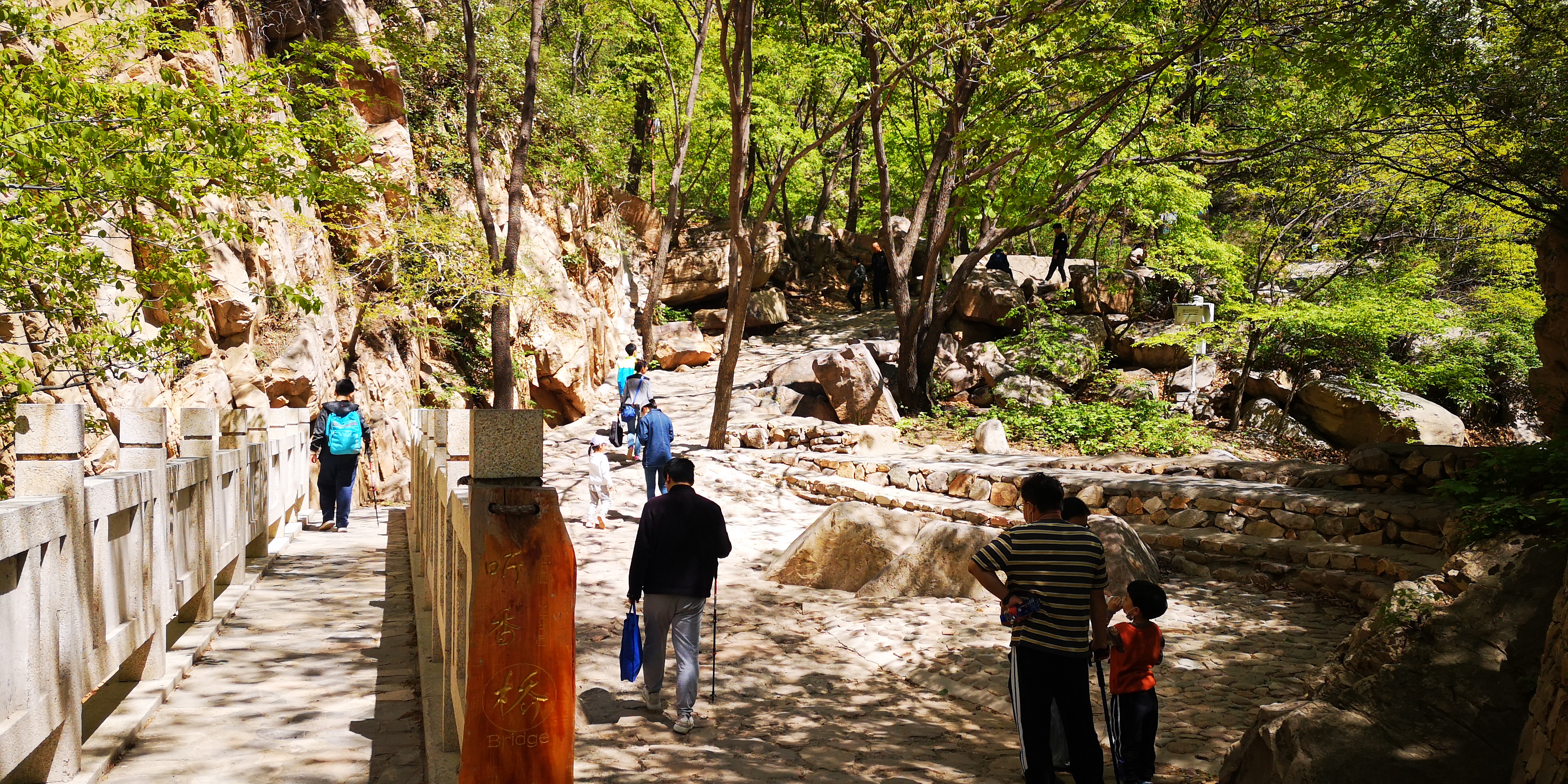 天津梨木台景区值得夏天去的地方,天津蓟县梨木台风景区路线