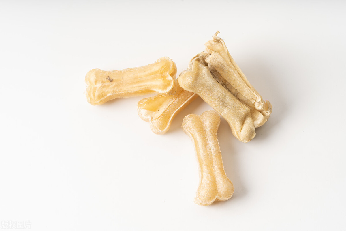 养陨石边牧注意事项,养边牧狗狗的十大禁忌