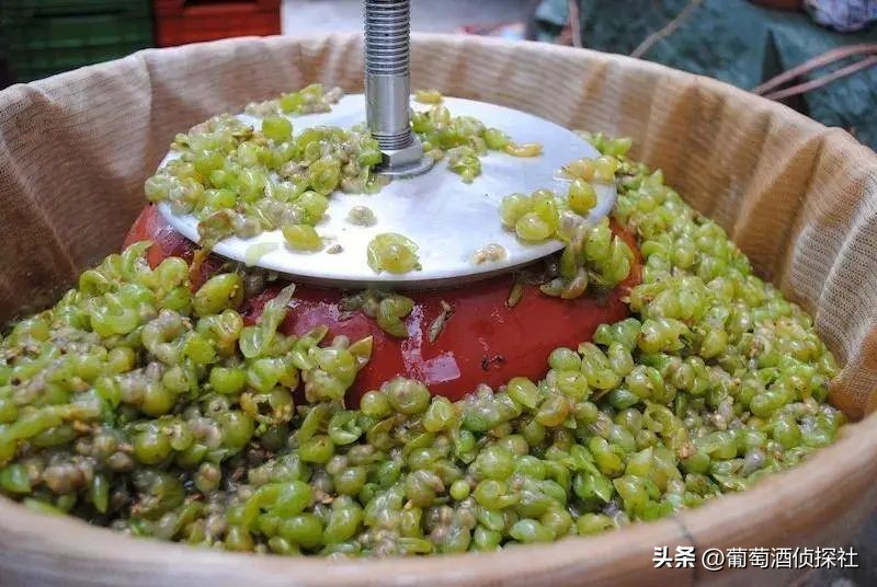 正宗葡萄酒酿造法,葡萄酒酿造步骤精简