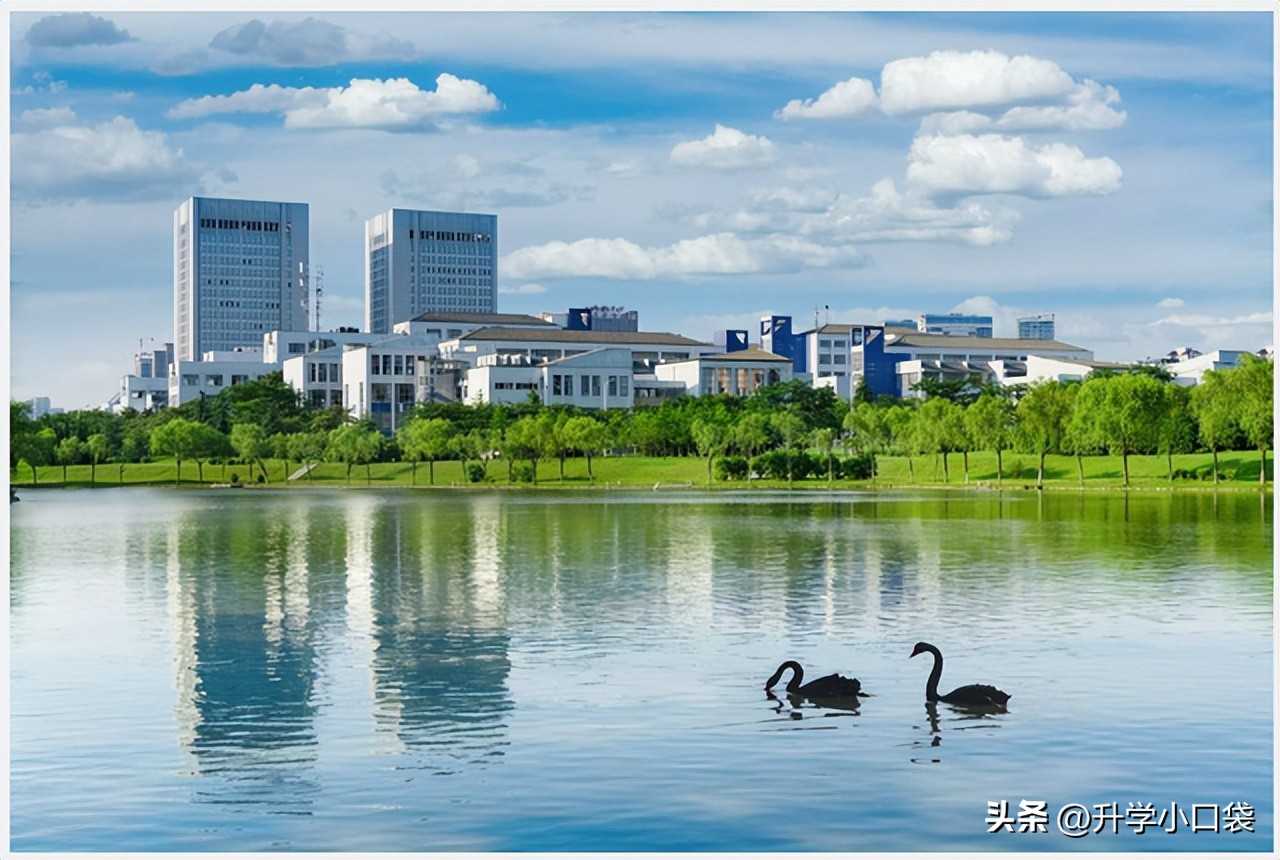 国家电网,安徽2023录取人数：安徽大学19人，安徽理工大学52人