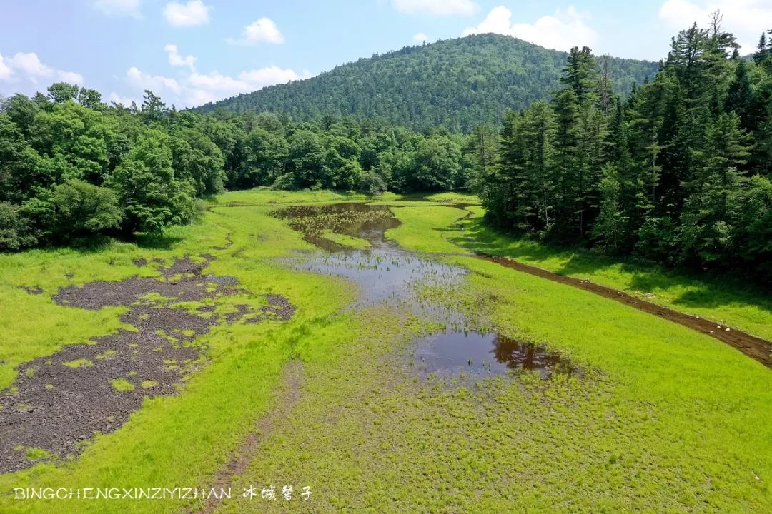 火山口国家森林公园与地下森林,清凉度夏探秘地下森林