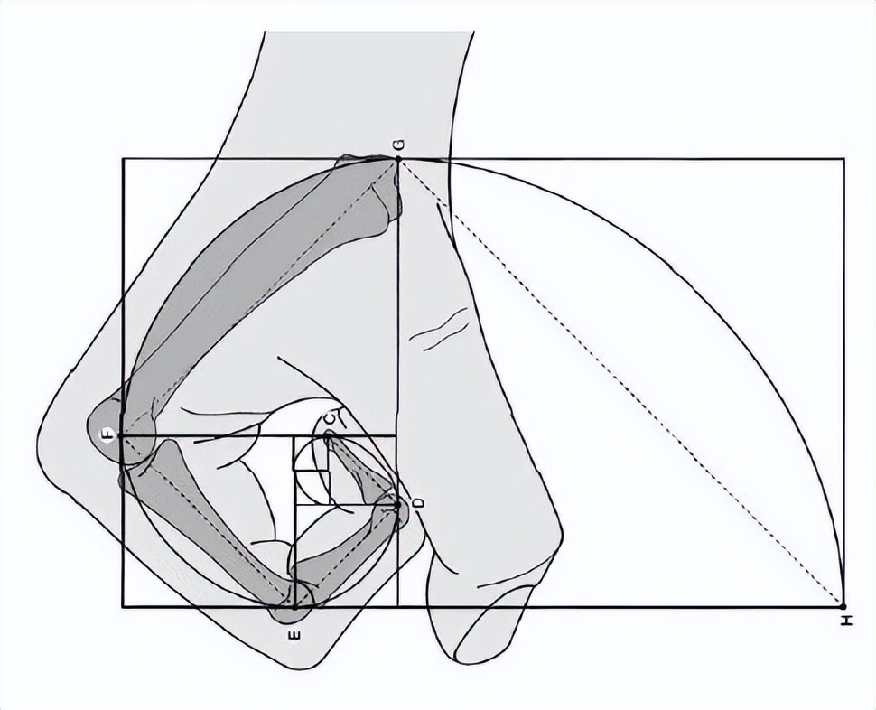 上帝的数字代码,上帝的数字7