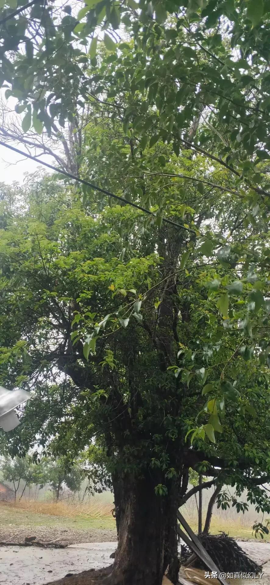 全职写小说一个月能赚多少钱,新手写五百万字的小说能挣多少钱