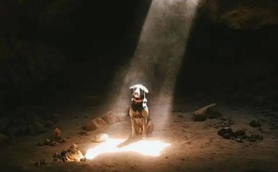 光是什么?无数科学家纷纷陷入了思考,通过光谱能找到什么?