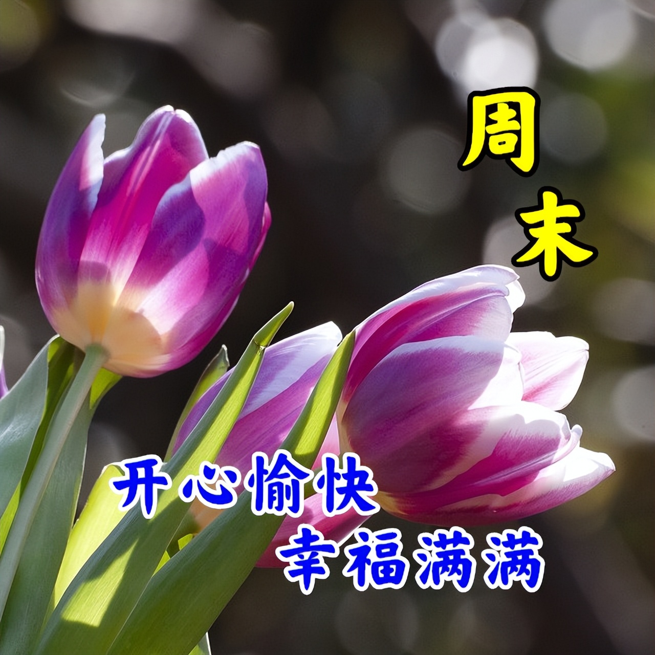 周末早安简单一句话和图片,周一早安最美的句子图片