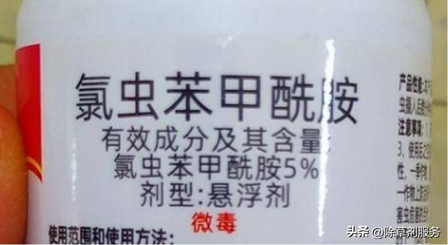 氯虫苯甲酰胺能用什么代替,氯虫苯甲酰胺怎么用