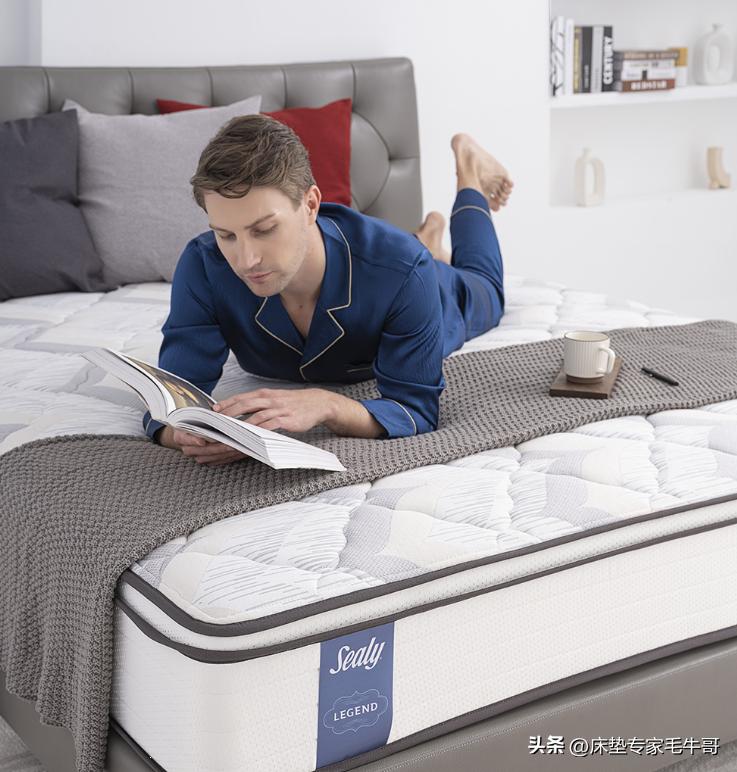 丝涟床垫推荐性价比款,丝涟床垫十大排名