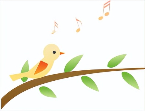 延胡索乙素磷脂复合物及其固体分散体、油制剂、纳米混悬剂的制备