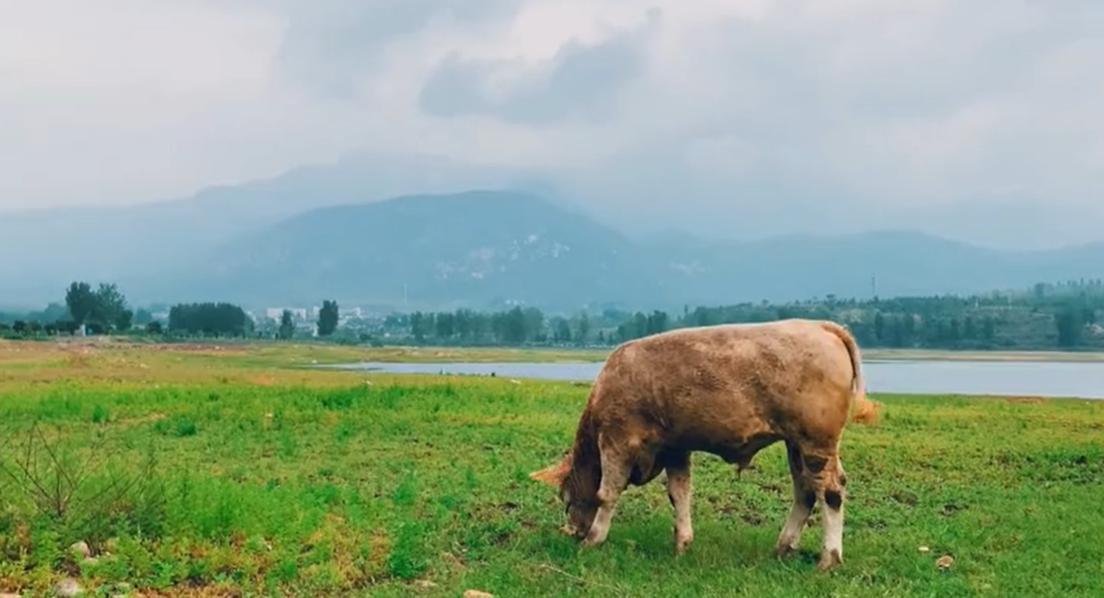 郑州周边游玩夏季景点攻略,郑州周边避暑旅游景点推荐