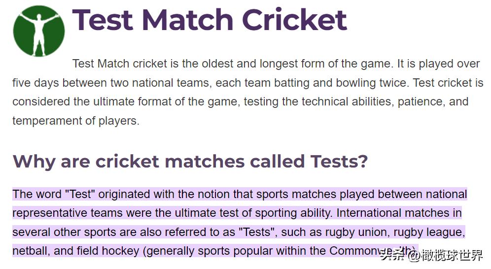 世界杯开赛前和开赛后评论,2023橄榄球世界杯