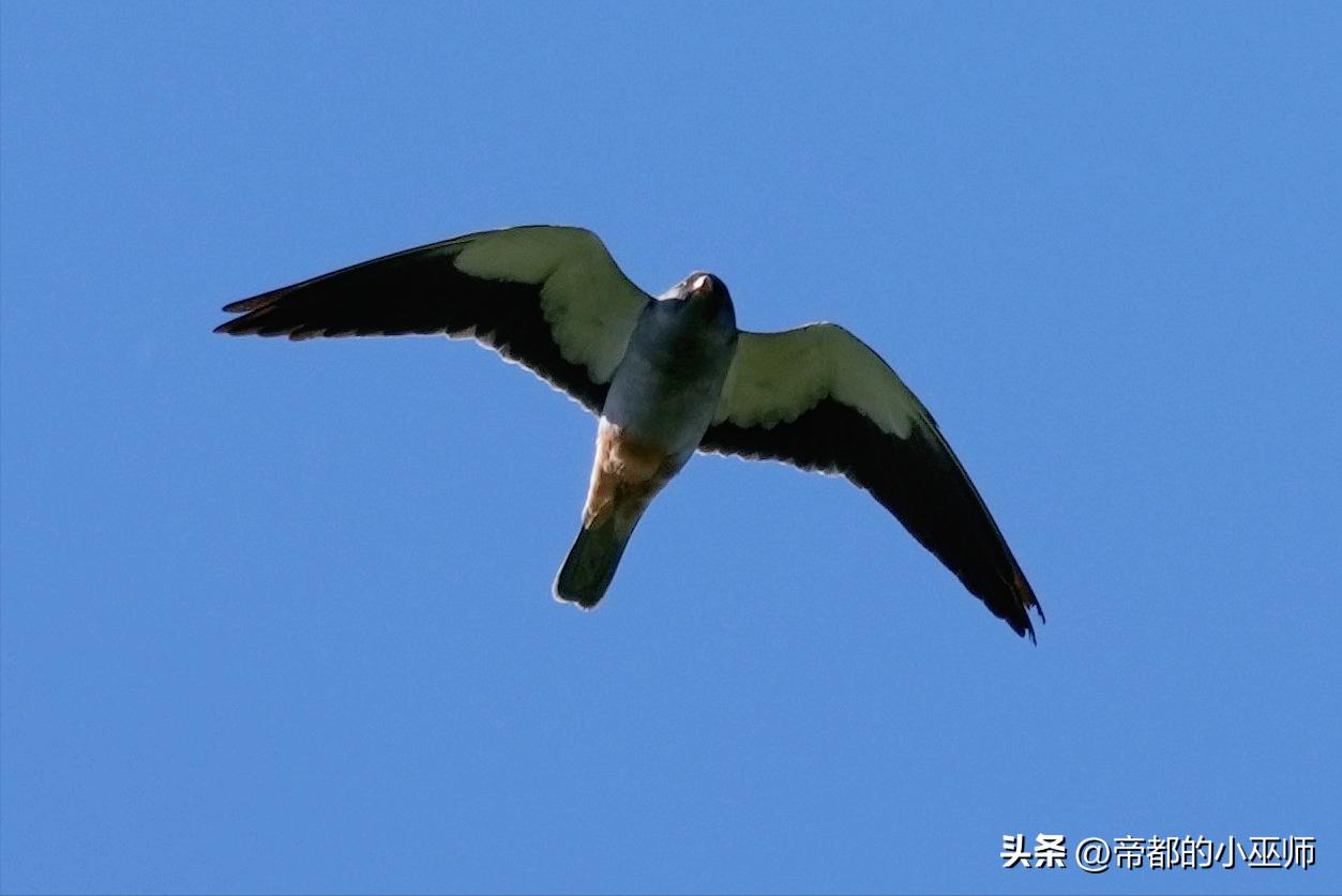 猛禽vs特雷德,2023猛禽和2022款有啥区别