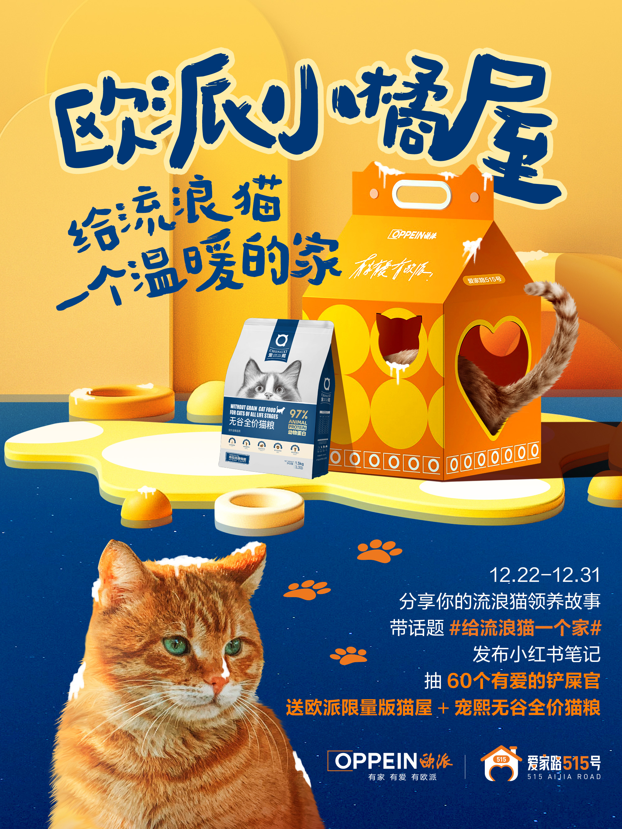 为爱定制一个家,为流浪猫爱心筹款