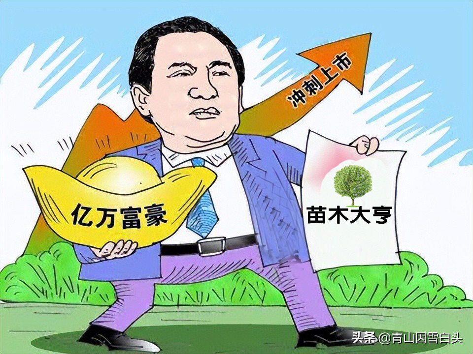 苗木行业何时走出低谷,苗木行业今年难做