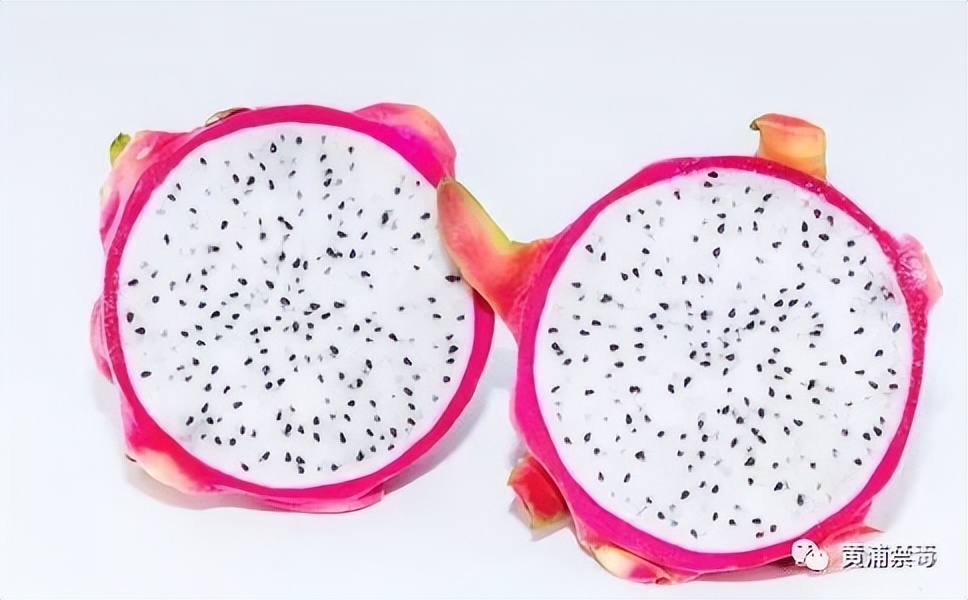 健康小贴士食品安全知识,健康小贴士食物