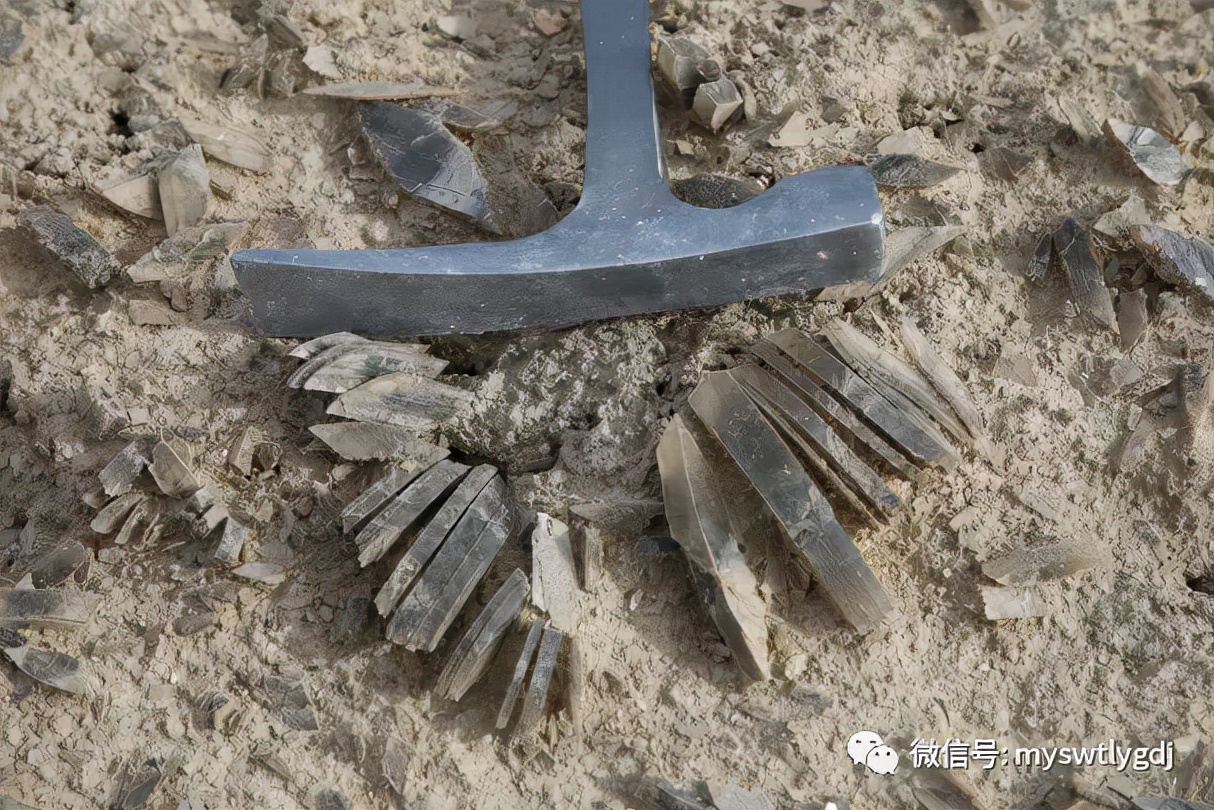 探索神奇的地方合集,探索神奇