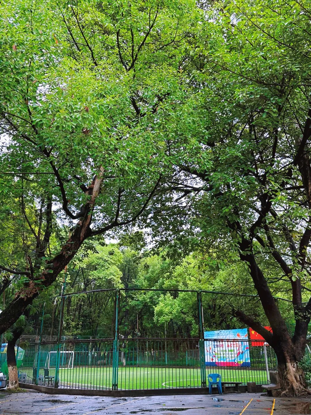 世界杯开始精彩,世界杯开始了没